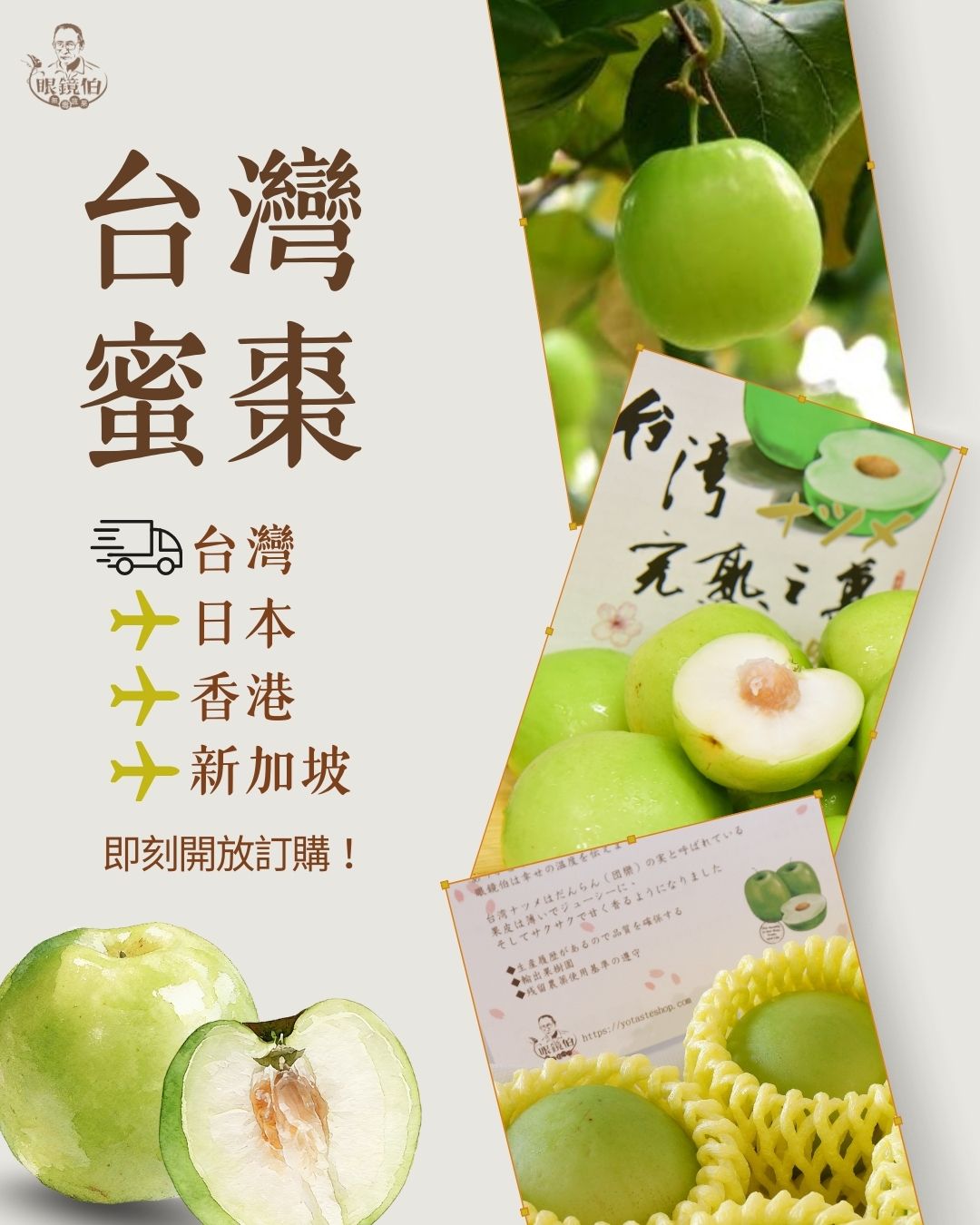 台灣蜜棗禮盒，過年水果禮盒